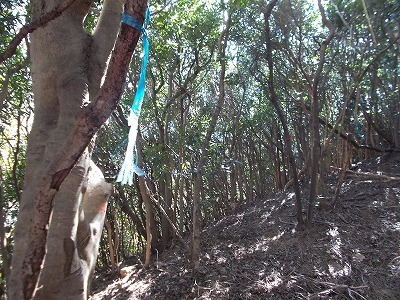f0308898_22182347.jpg