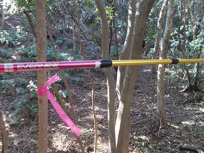 f0308898_22204650.jpg