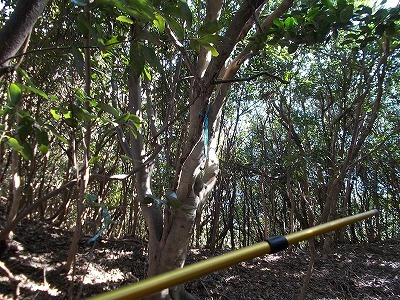 f0308898_22214570.jpg