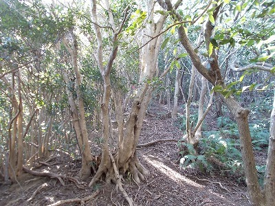 f0308898_22221660.jpg