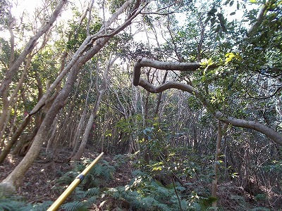 f0308898_22224605.jpg