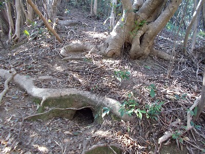 f0308898_22231675.jpg