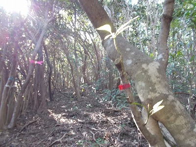 f0308898_22254504.jpg