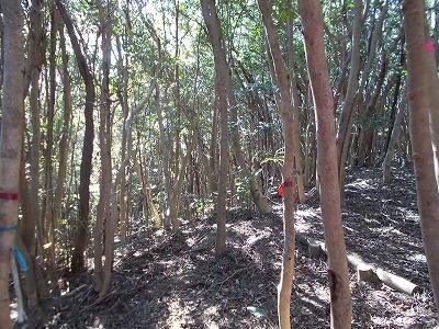 f0308898_22261561.jpg