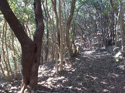f0308898_22281119.jpg