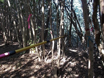 f0308898_22284108.jpg