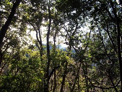 f0308898_22294186.jpg