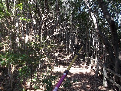 f0308898_22322540.jpg