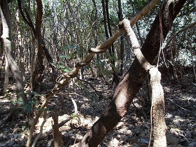 f0308898_22325574.jpg