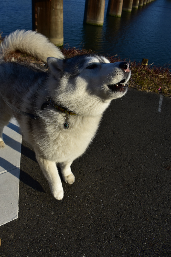 きょうも元気に行ってみよ～　(^o^)_c0049299_21422925.jpg