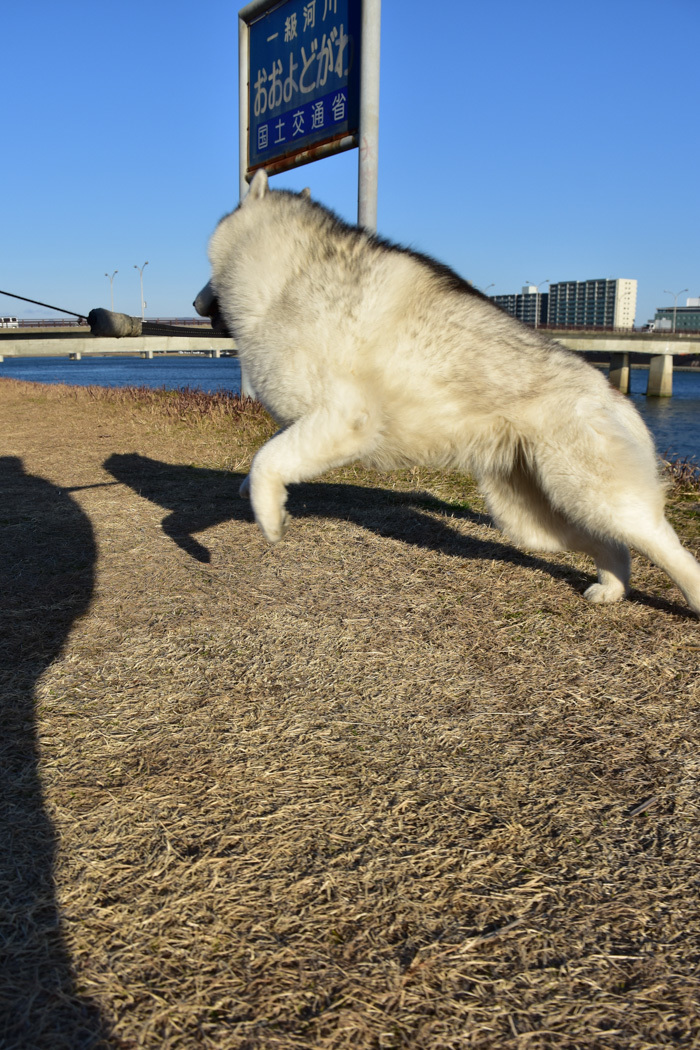 きょうも元気に行ってみよ～　(^o^)_c0049299_21433535.jpg