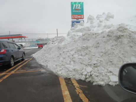 雪、やや落ちついた日_a0203003_22552129.jpg