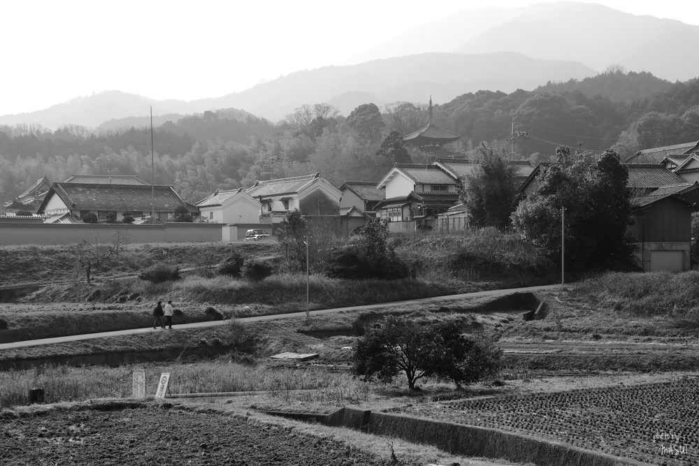 d0342307_21083478.jpg