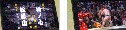 f0231709_20402472.gif