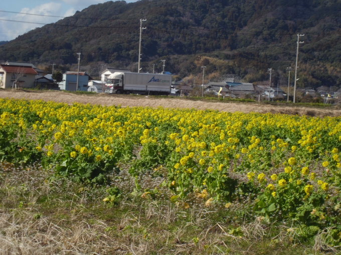 b0352112_15481511.jpg