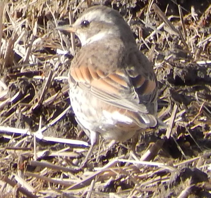 b0352112_1692013.jpg