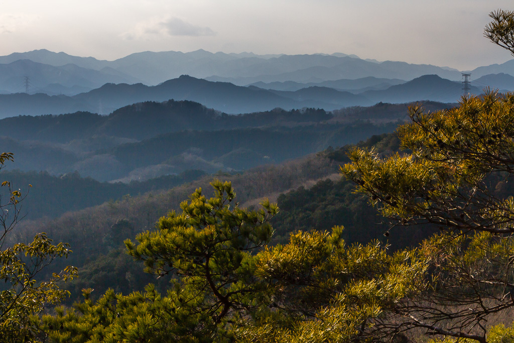 今日も日和田山へ_b0010915_19115558.jpg