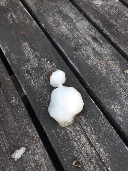 b0268815_20500264.gif