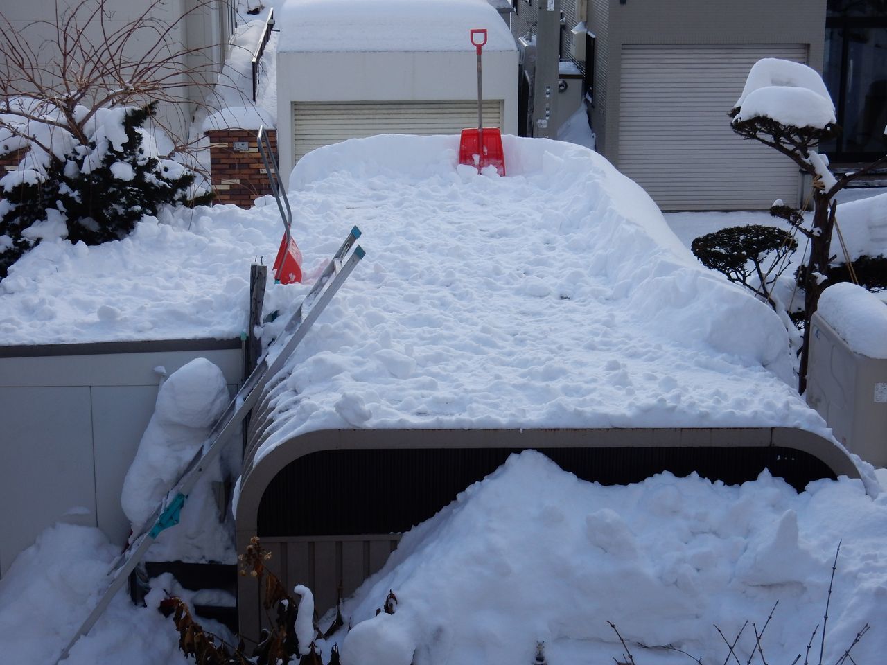 真冬日でもとける雪_c0025115_21021299.jpg