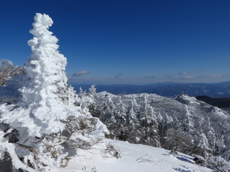 今日のお気に入り写真　猛烈な寒さの北横岳(2,480M)・縞枯山(2,403M)登山_d0170615_12080726.jpg