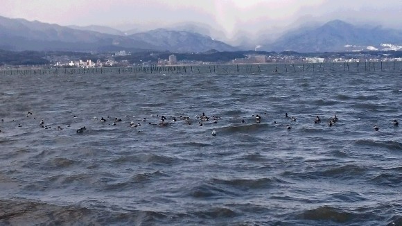 釣り三昧ブログより　”琵琶湖の氷柱”　～　メガネのノハラ　イオン洛南店　バス釣り　ラーメン　～_c0221718_16150392.jpg