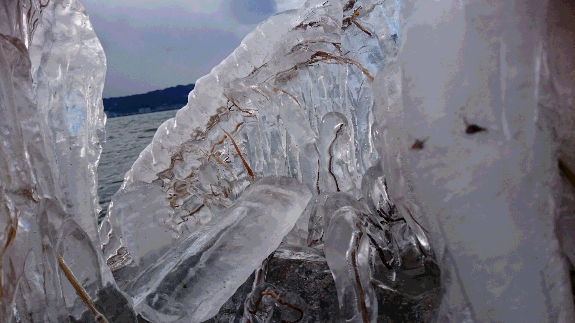 c0221718_16162930.jpg