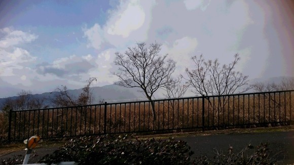 c0221718_17055762.jpg