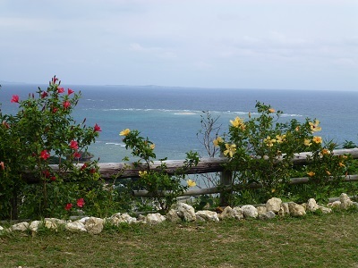 c0227720_00163133.jpg