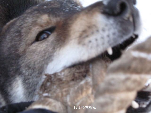 f0143123_10531157.jpg