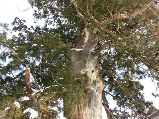 e0234924_10095862.jpg
