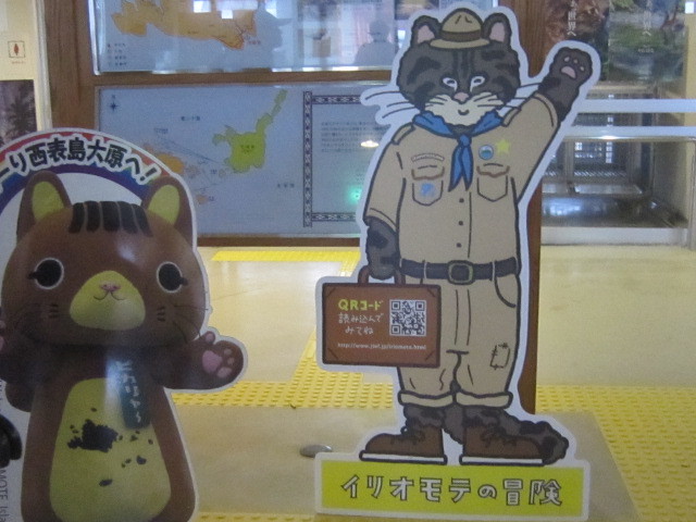 ♪おーりとーり★八重山島めぐり②(西表島)_d0162225_17160816.jpg