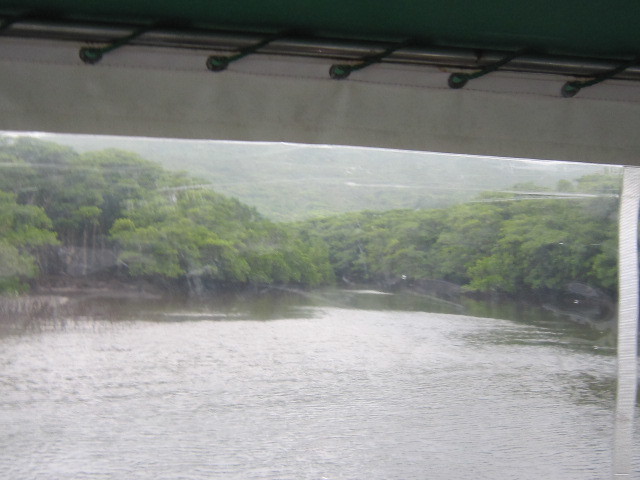 ♪おーりとーり★八重山島めぐり②(西表島)_d0162225_17175710.jpg