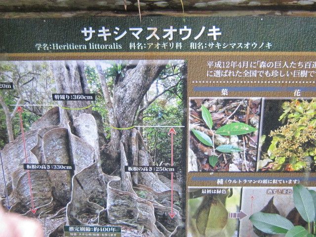 ♪おーりとーり★八重山島めぐり②(西表島)_d0162225_17213583.jpg