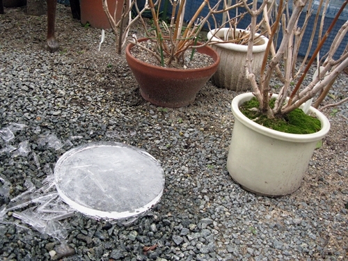 氷張る_f0129726_18412487.jpg