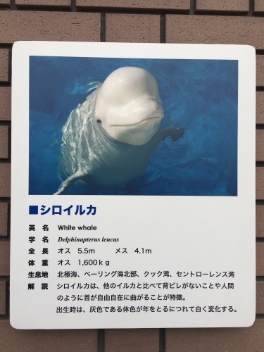 b0113232_20164110.jpeg