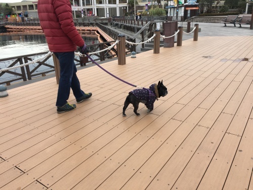 b0113232_20180481.jpeg