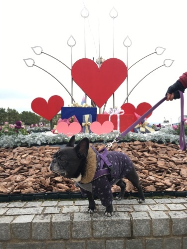 b0113232_20182146.jpeg