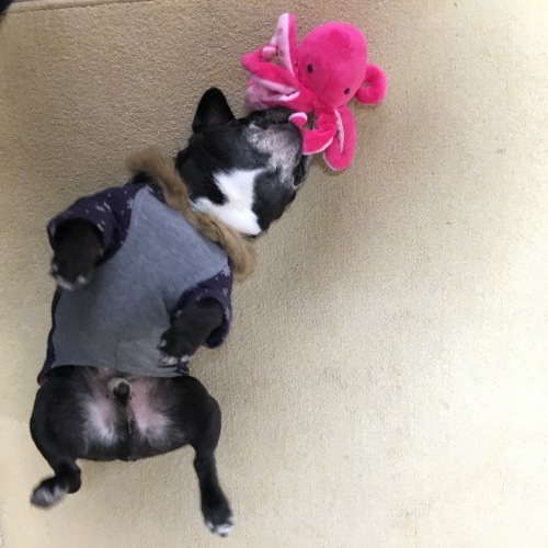 b0113232_20185428.jpeg