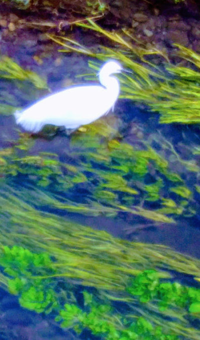 b0246533_14023065.png