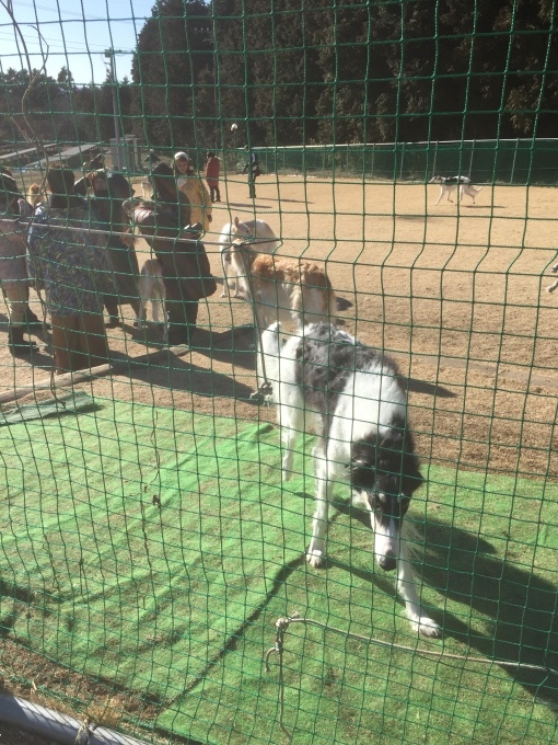b0369239_14103634.jpeg
