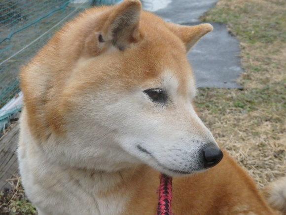 a0054240_21225113.jpg