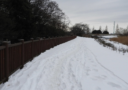 雪の中、見沼ポタリング_e0172950_19343515.jpg