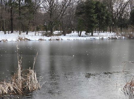 雪の中、見沼ポタリング_e0172950_19381547.jpg