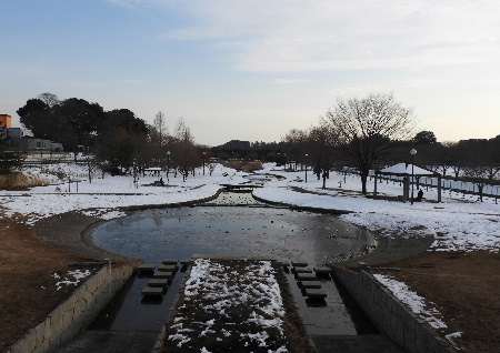 雪の中、見沼ポタリング_e0172950_1939289.jpg