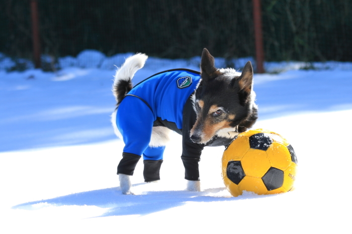 雪遊び in BFD ②_d0168652_00171024.jpg