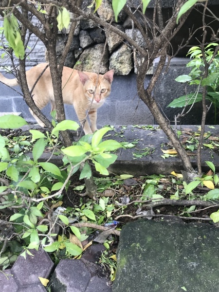 f0304452_15530217.jpeg