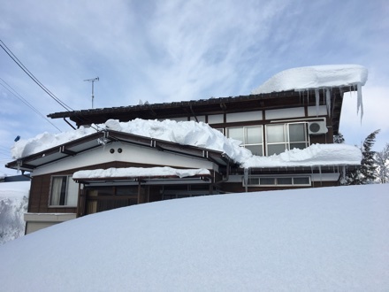 a0346455_19561675.jpeg