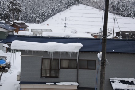 a0346455_20001736.jpeg