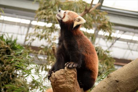 b0338756_12355712.jpg