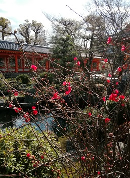 三十三間堂_a0061057_194085.jpg